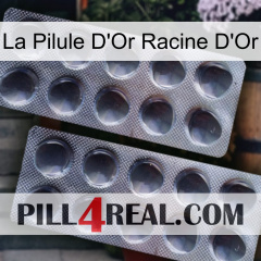 The Golden Root Gold Pill 31